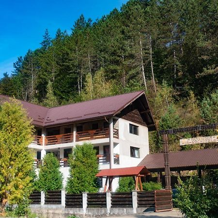 Pensiunea La Rachitele Exterior photo
