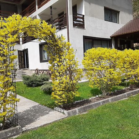 Pensiunea La Rachitele Exterior photo