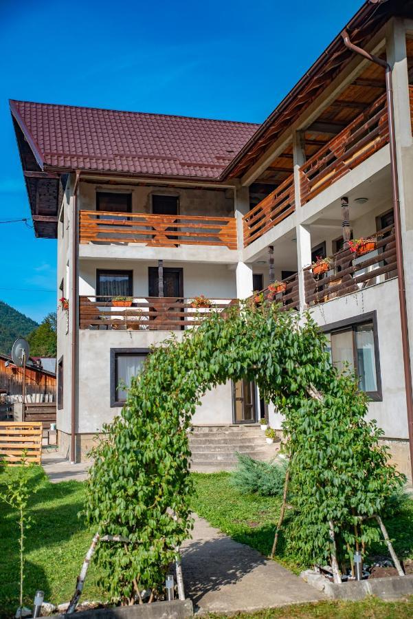 Pensiunea La Rachitele Exterior photo