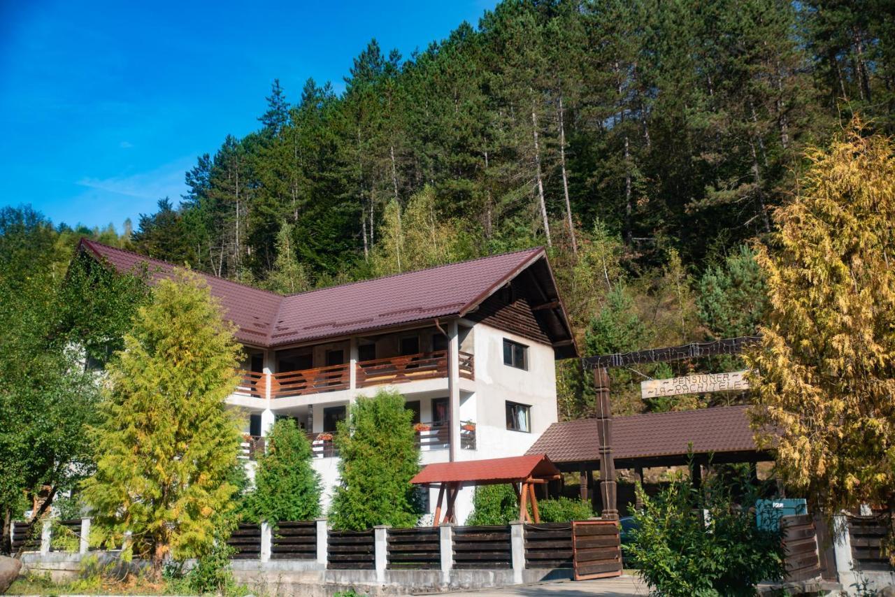 Pensiunea La Rachitele Exterior photo