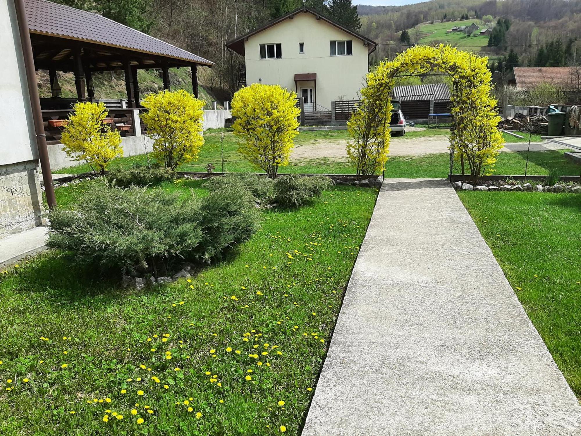 Pensiunea La Rachitele Exterior photo