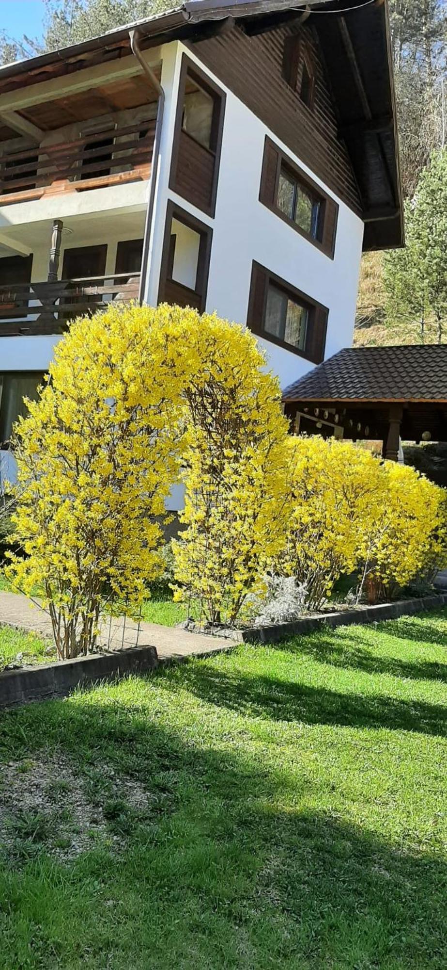 Pensiunea La Rachitele Exterior photo