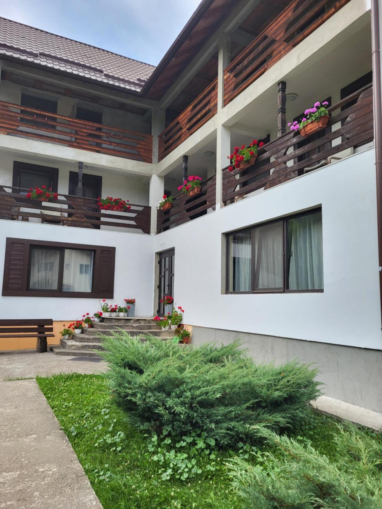 Pensiunea La Rachitele Exterior photo