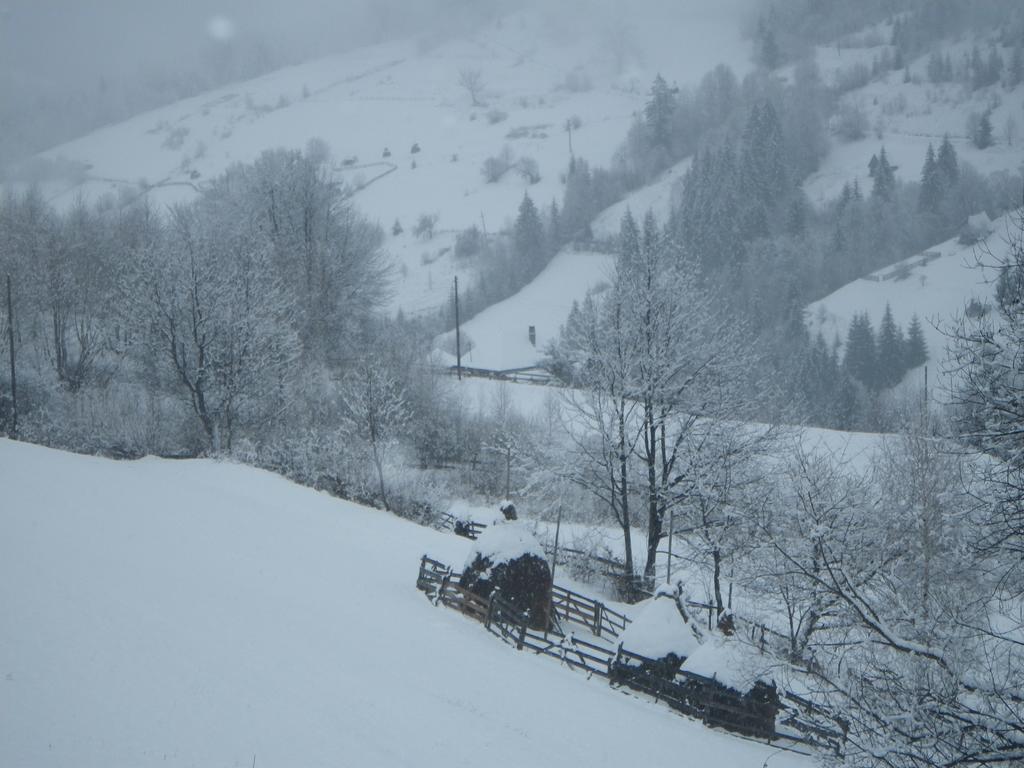 Pensiunea La Rachitele Exterior photo