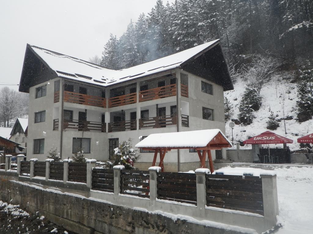 Pensiunea La Rachitele Exterior photo