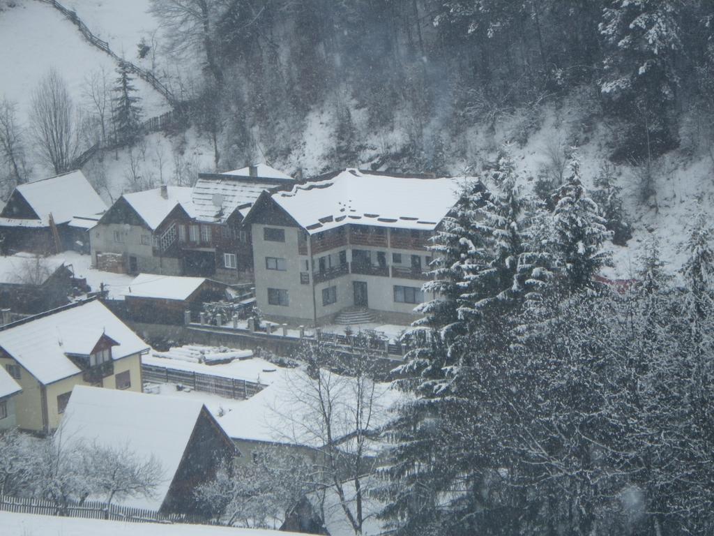 Pensiunea La Rachitele Exterior photo