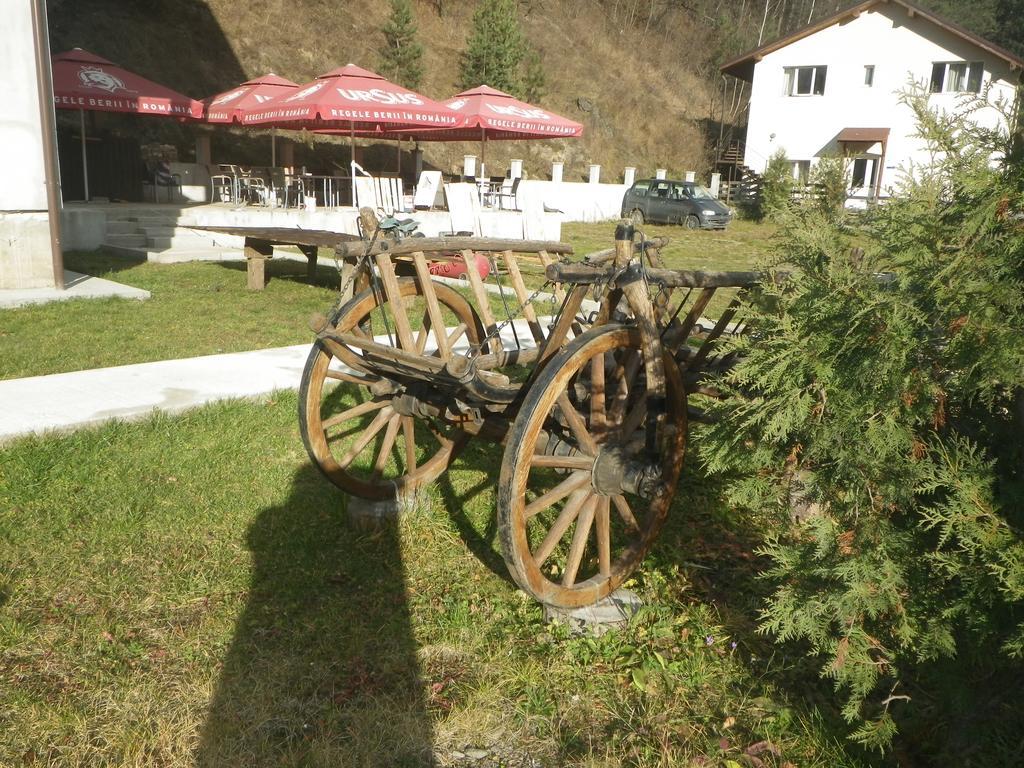 Pensiunea La Rachitele Exterior photo