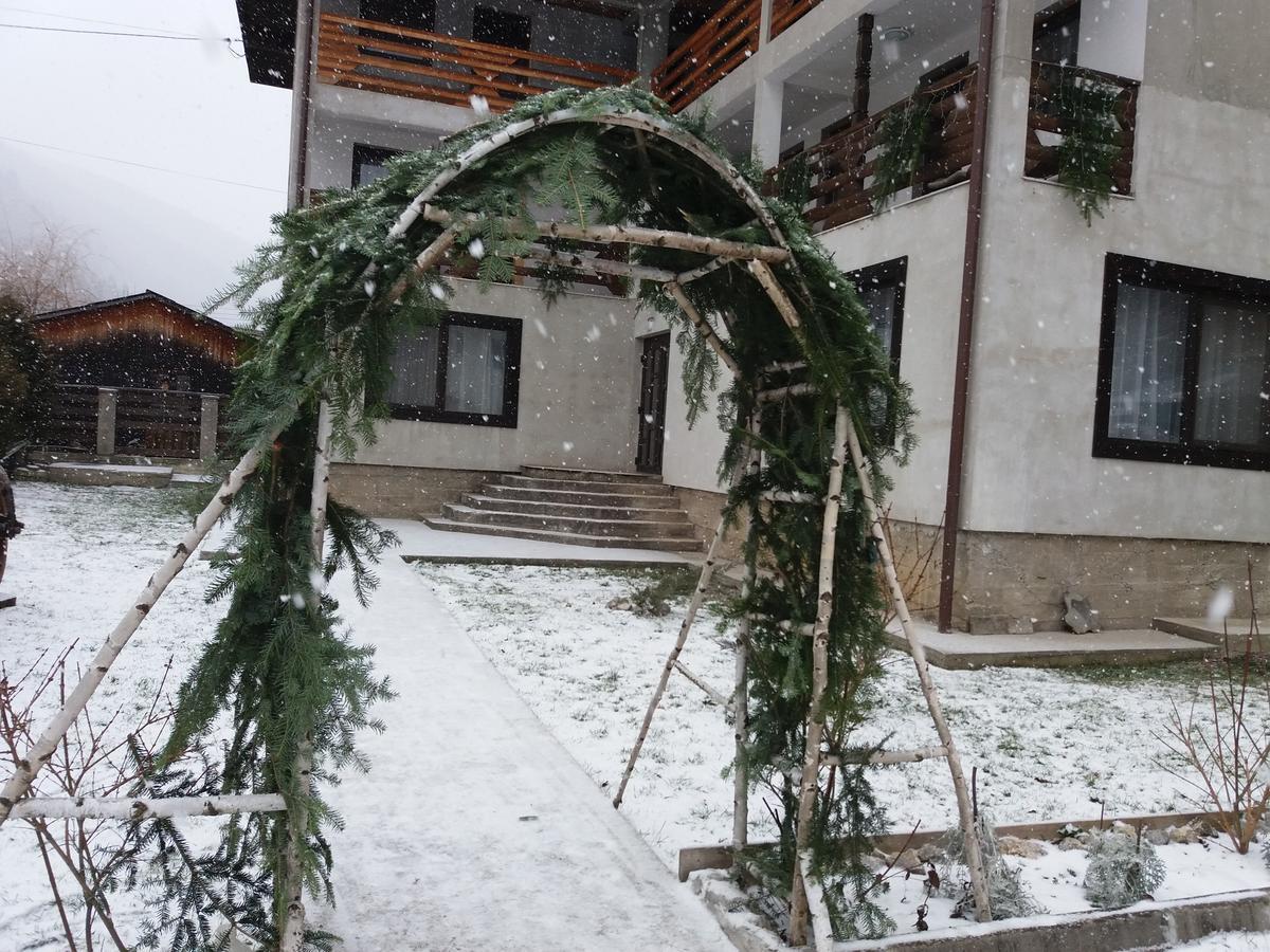 Pensiunea La Rachitele Exterior photo